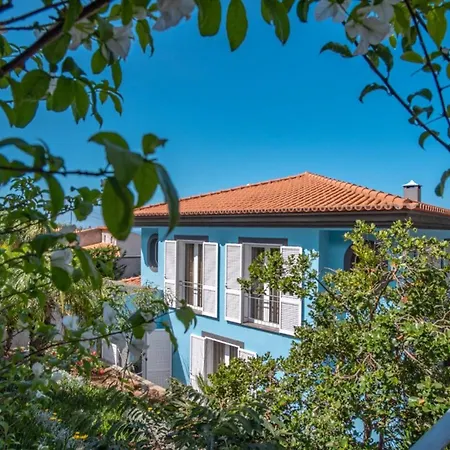 Villa Loureiro Palace With Soccer Field Funchal (Madeira)