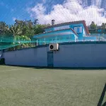 Villa Loureiro Palace With Soccer Field