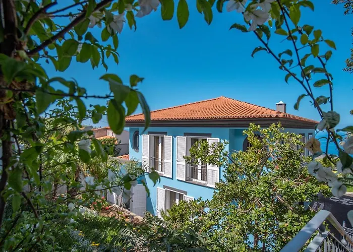 Loureiro Palace With Soccer Field Villa
